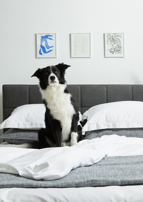 bedding for all the family