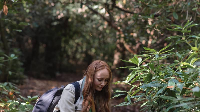 A woman holding a mushroom in the woods