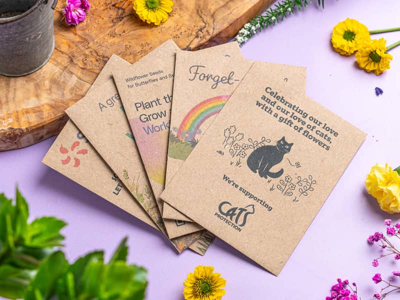 Recycled seed packet for butterflies and bees