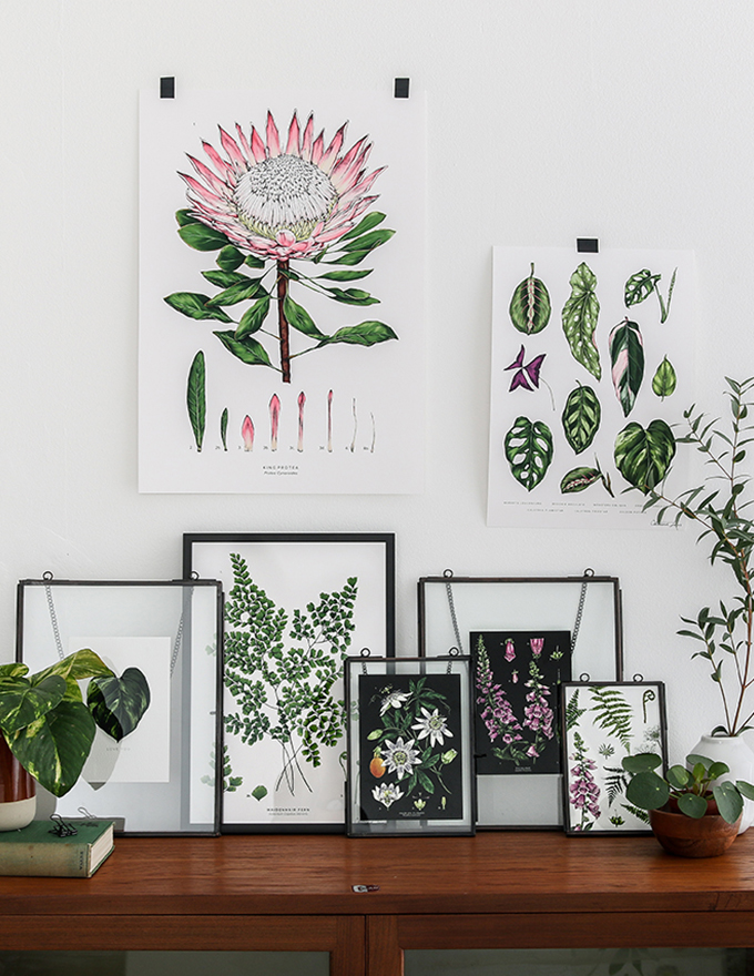 Giclee Art Prints