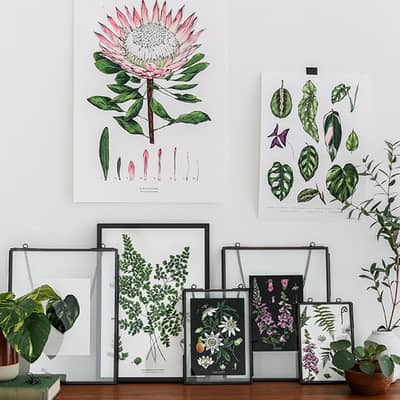 Giclee Art Prints