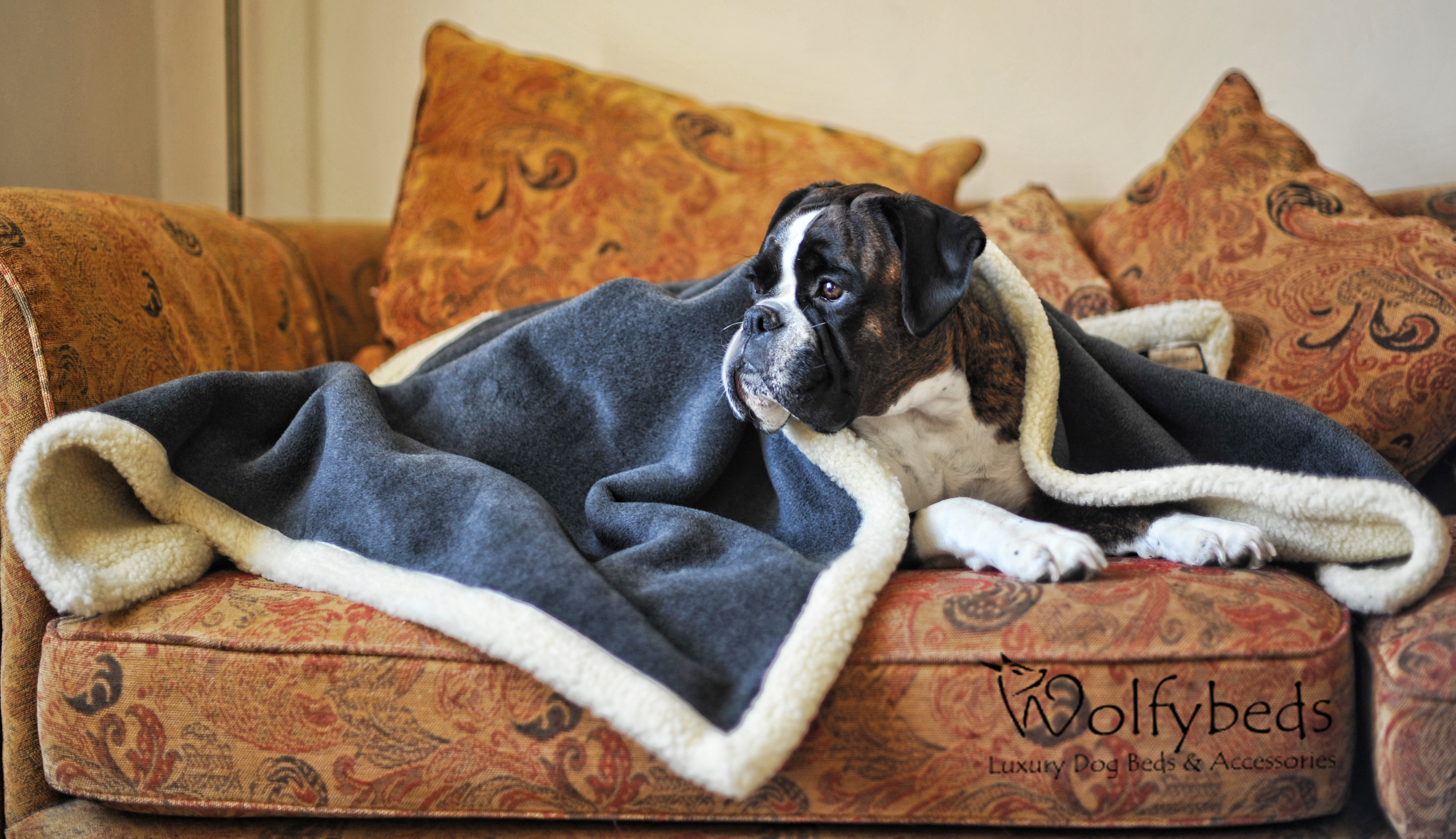 Cosy & comfortable throws