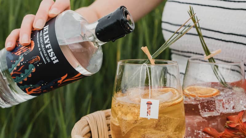 Chameleon Gin | Colour Changing Gin