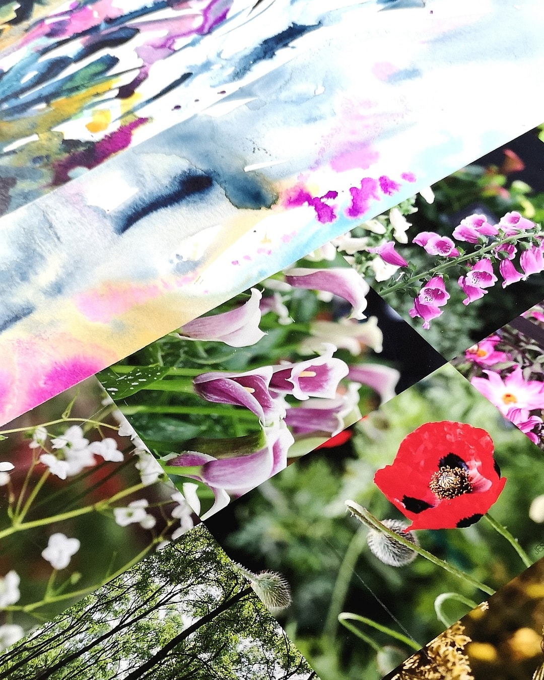 Botanical inspiration