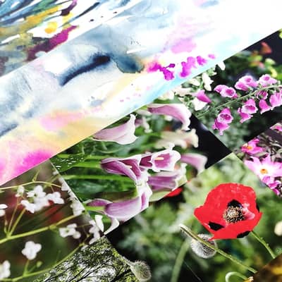 Botanical inspiration