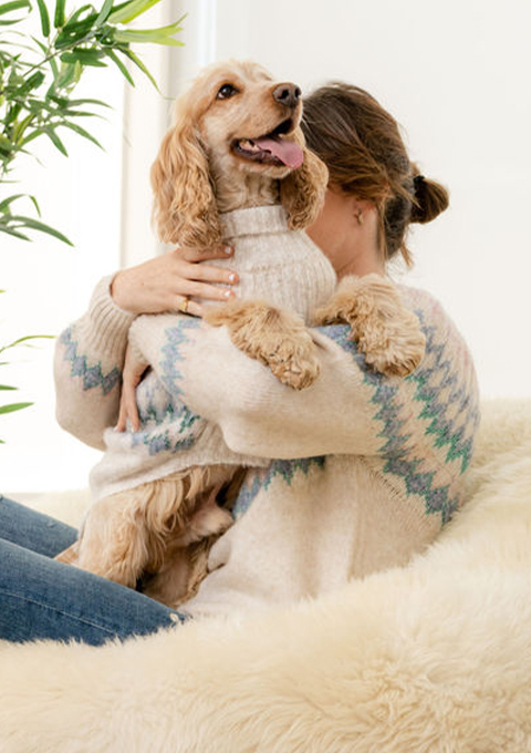 Hotdog Matching Owner Dog Fairisle Jumper Set Lifestyle Image