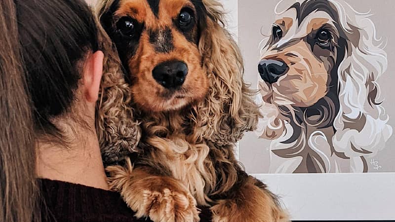 Spaniel Pet Portrait