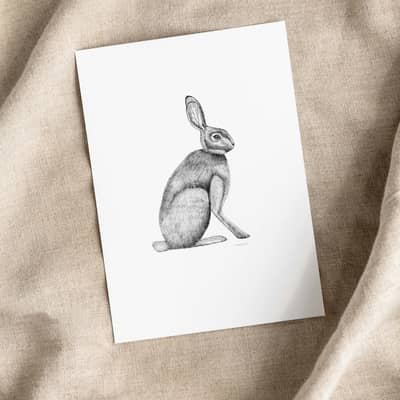 Luxury Stationery Greetings Card Box Set