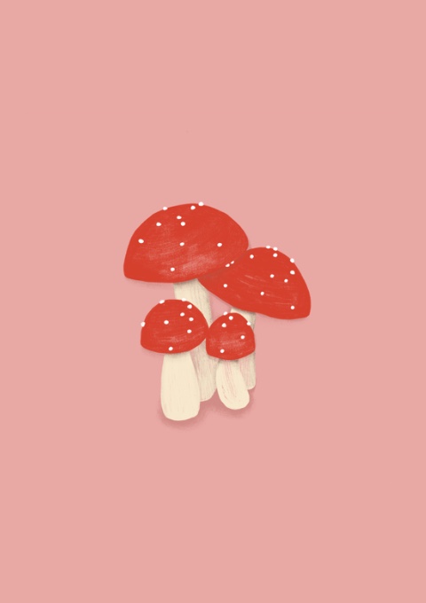 Illustrations -shop small this year 