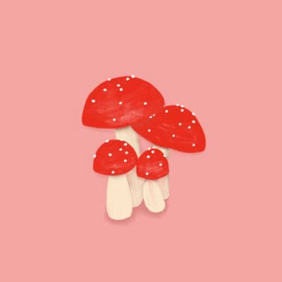 Illustrations -shop small this year