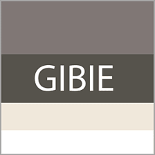GIBIE logo