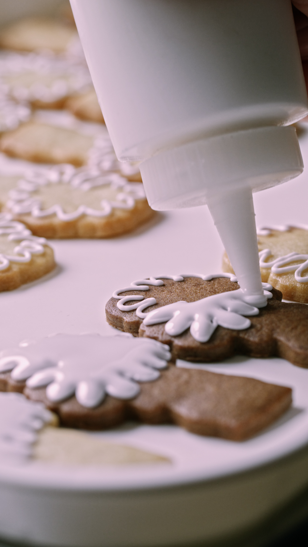 Get well soon iced biscuits.