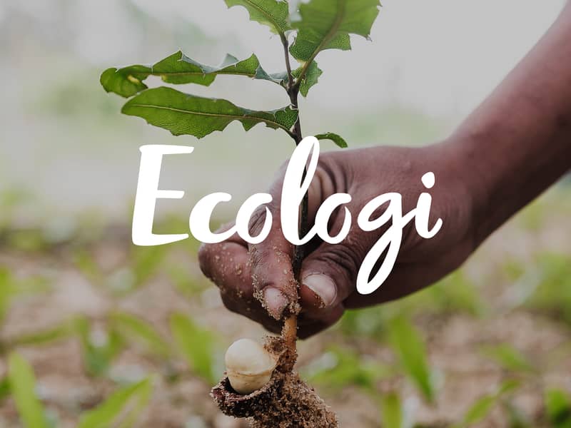 Earth, Eco, Environment