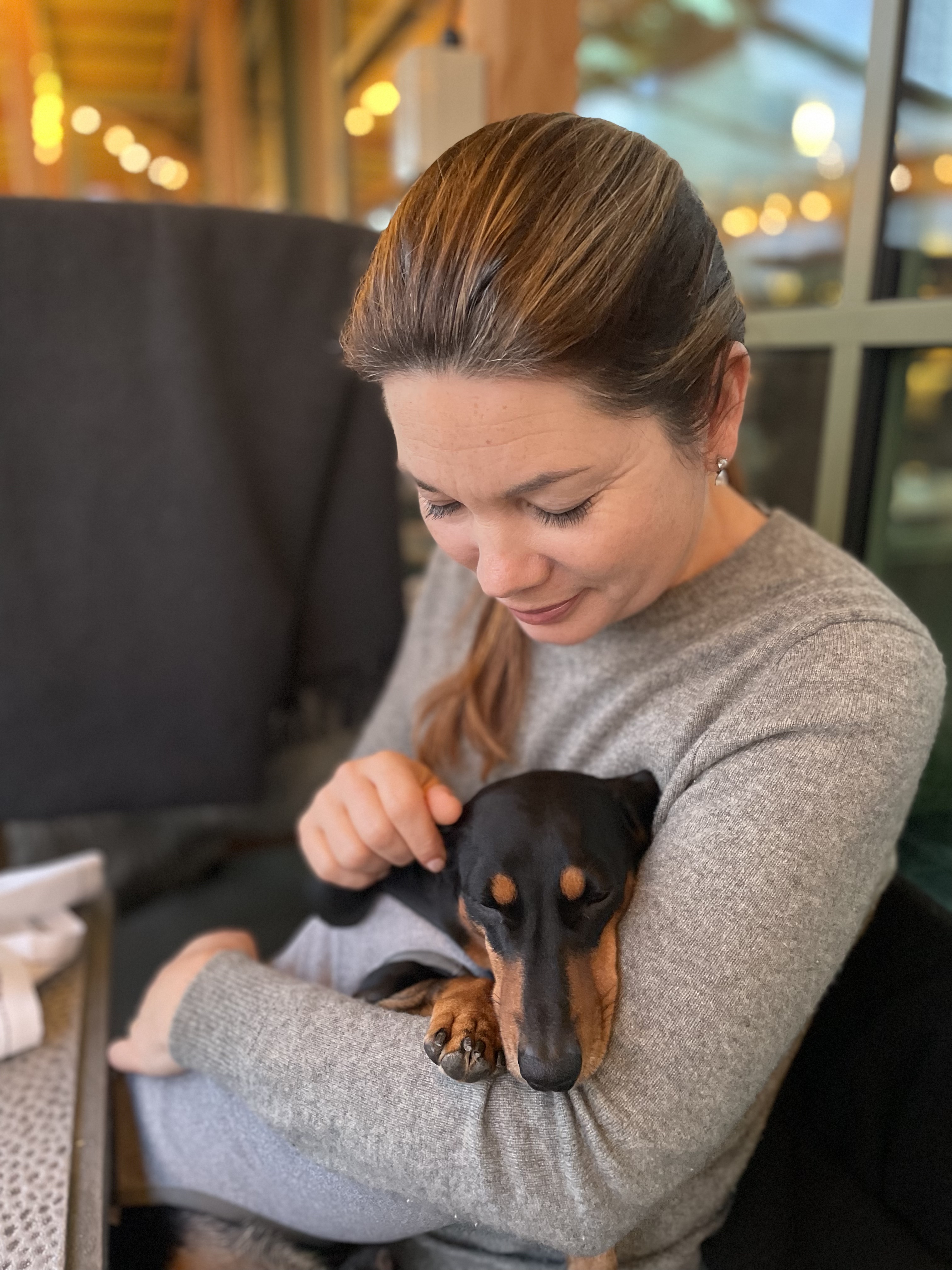 It's all about our dogs