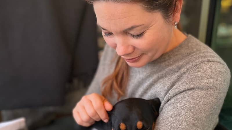 It's all about our dogs