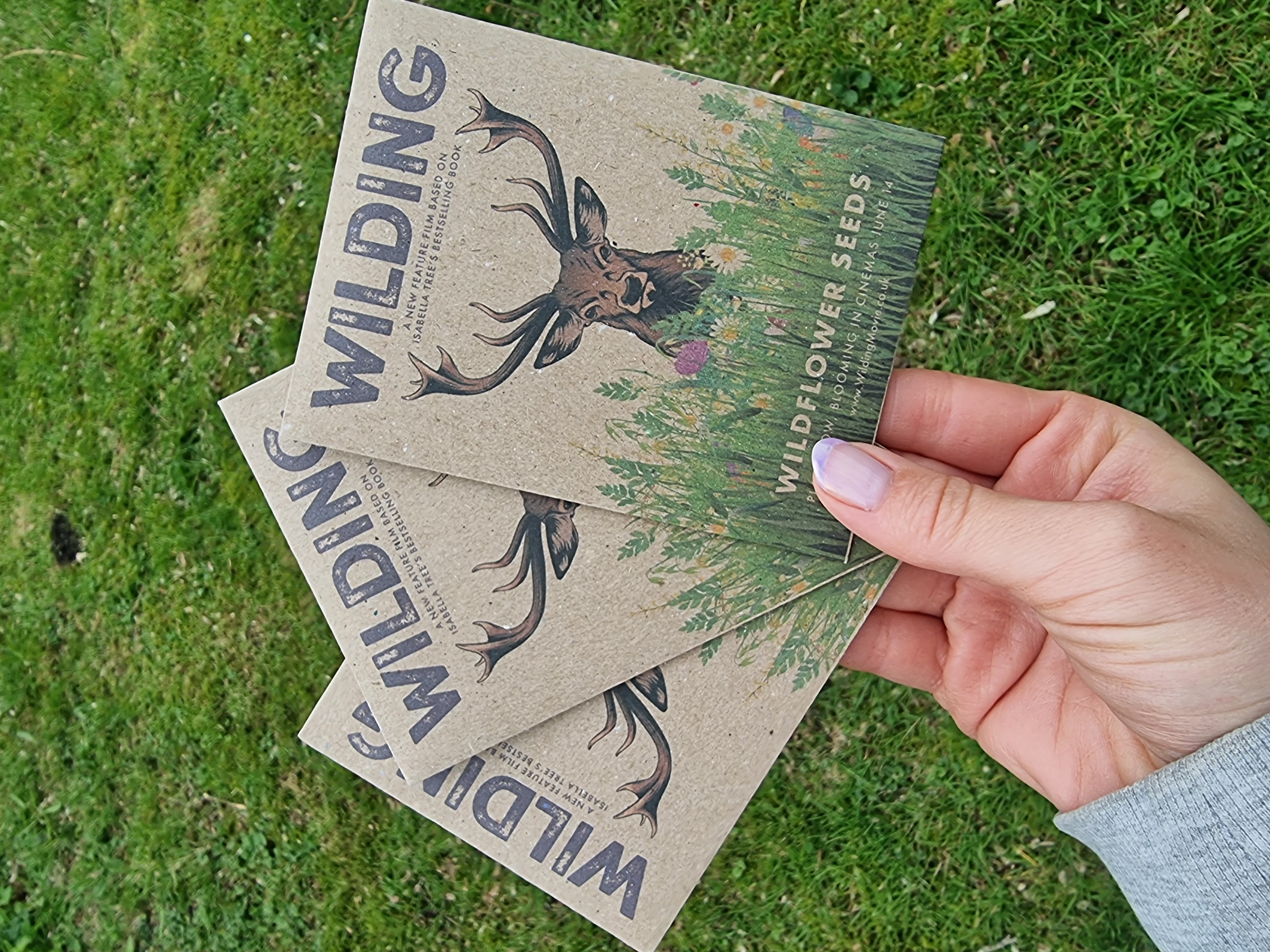 So important to get the message out  that our pollinators need wildflowers and wild places