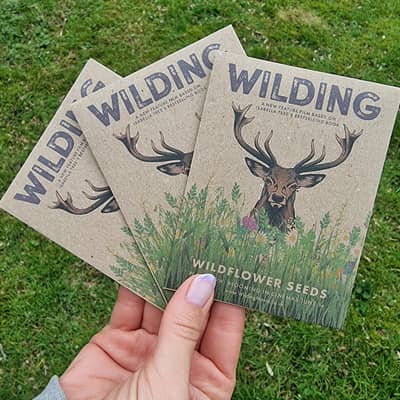 So important to get the message out that our pollinators need wildflowers and wild places