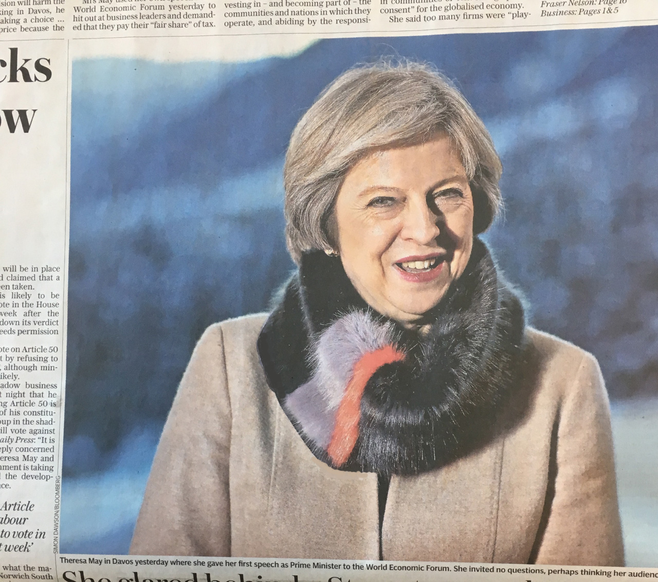 Louison d'Or faux fur snood