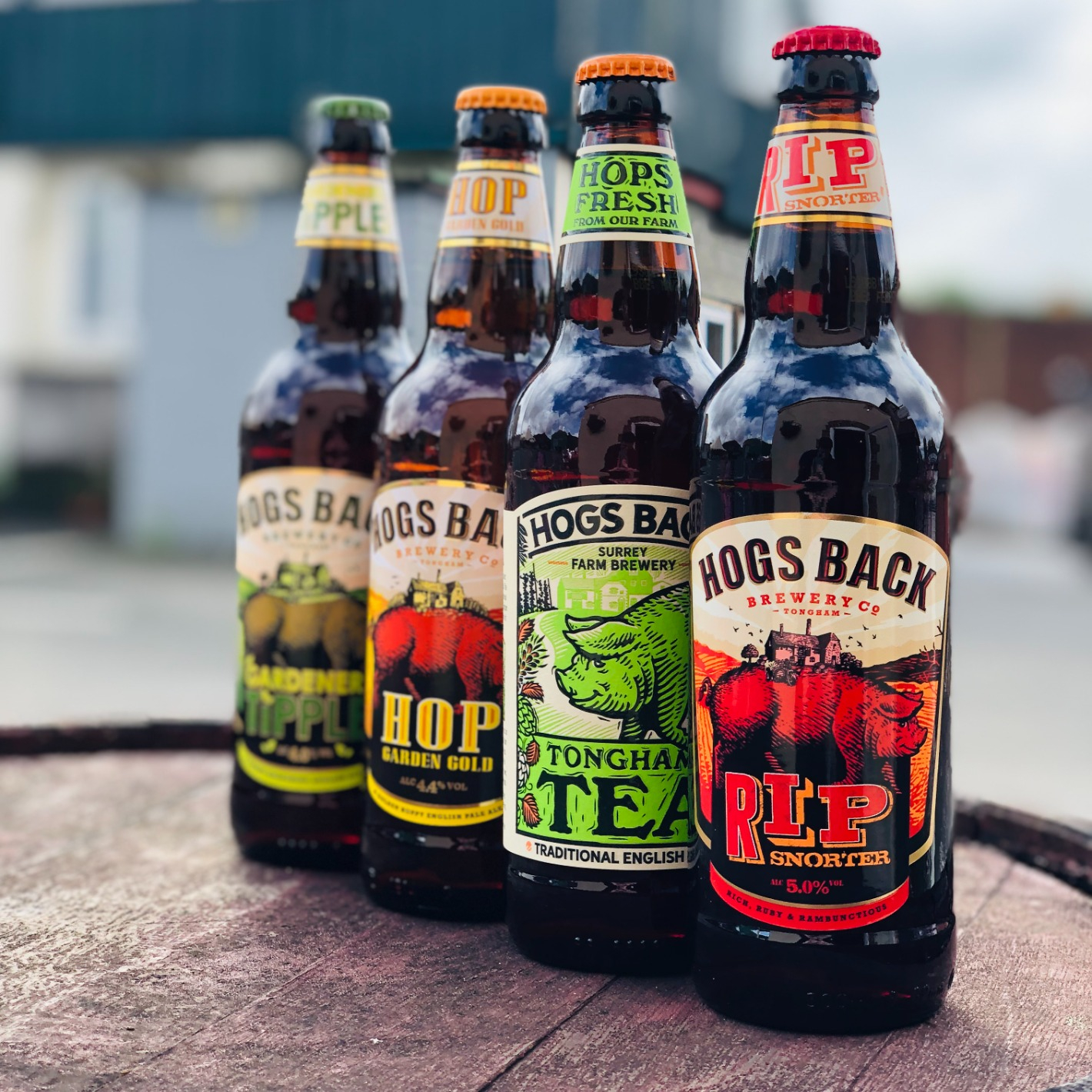 Hogs Back Brewery Bottled Beers