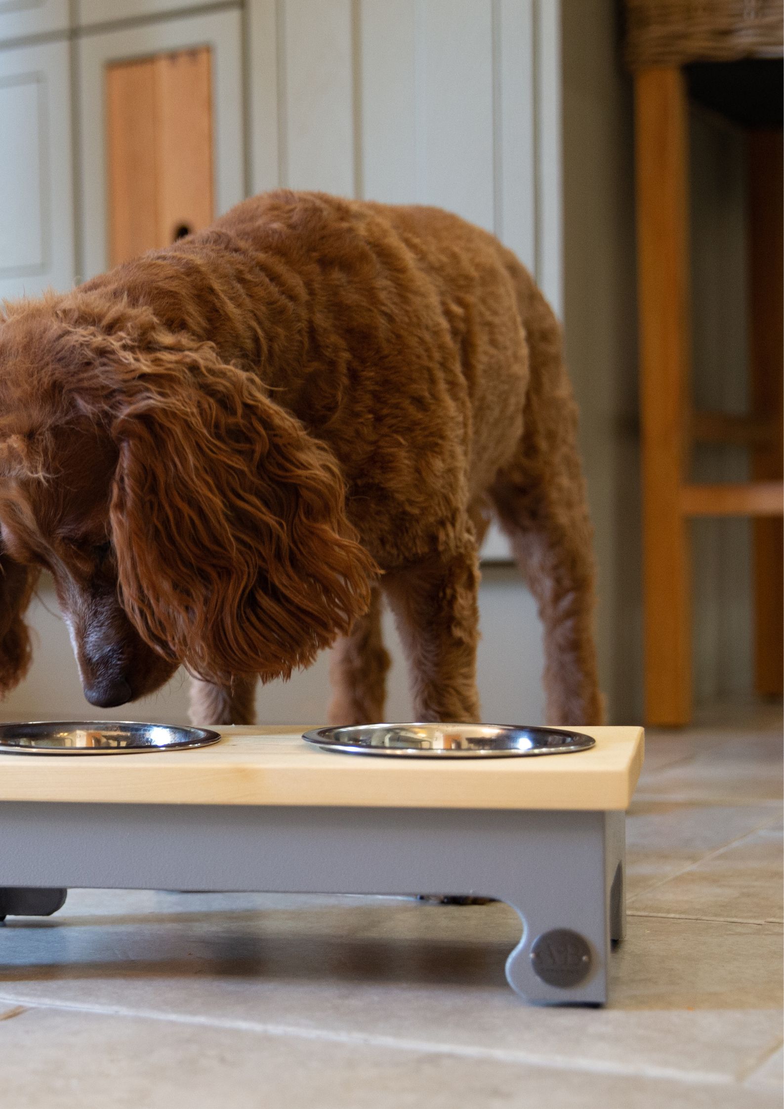 Albie's Boutique Feeding Station