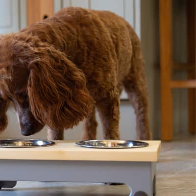 Albie's Boutique Feeding Station