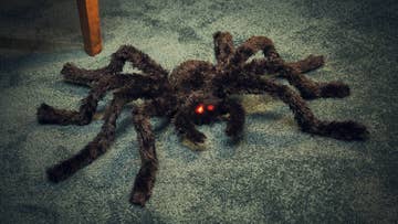 Halloween spider decorations