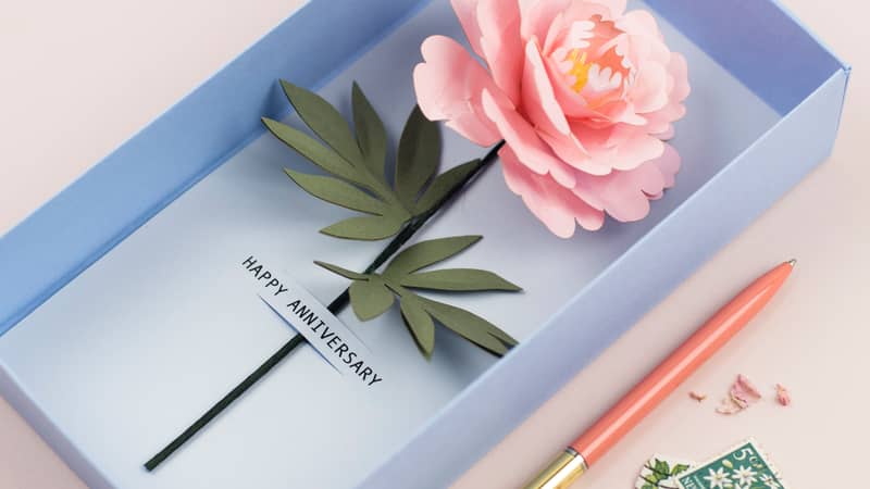 Paper peony box card