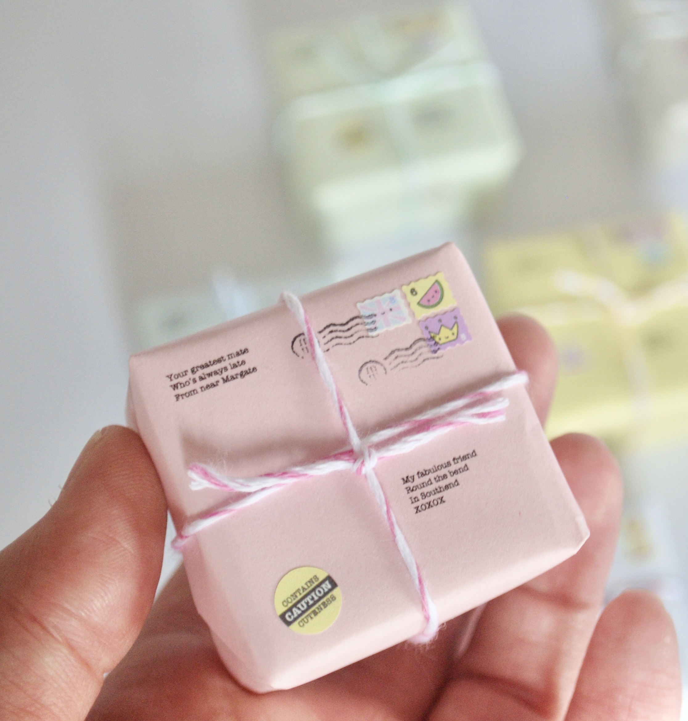 Mini parcel in a hand