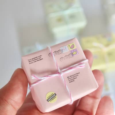 Mini parcel in a hand