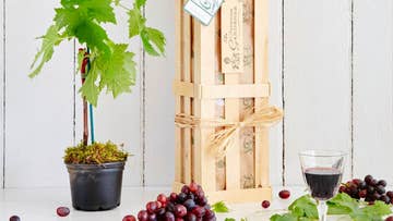 Grow your own red wine gift crate