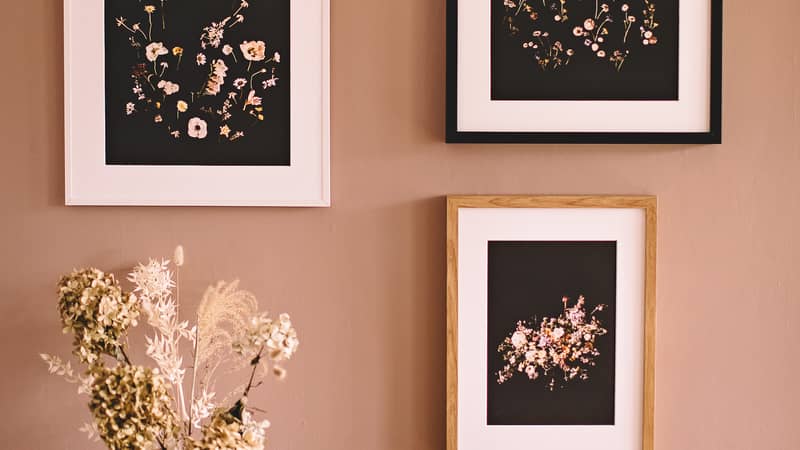 Floral Fine Art Prints Gallery Wall