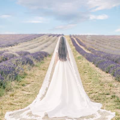 Lace veil in a lavender field