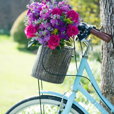 A bouquet of pink and purple flowers in a bicycle basket. The bike is outside in a green garden and is blue in colour