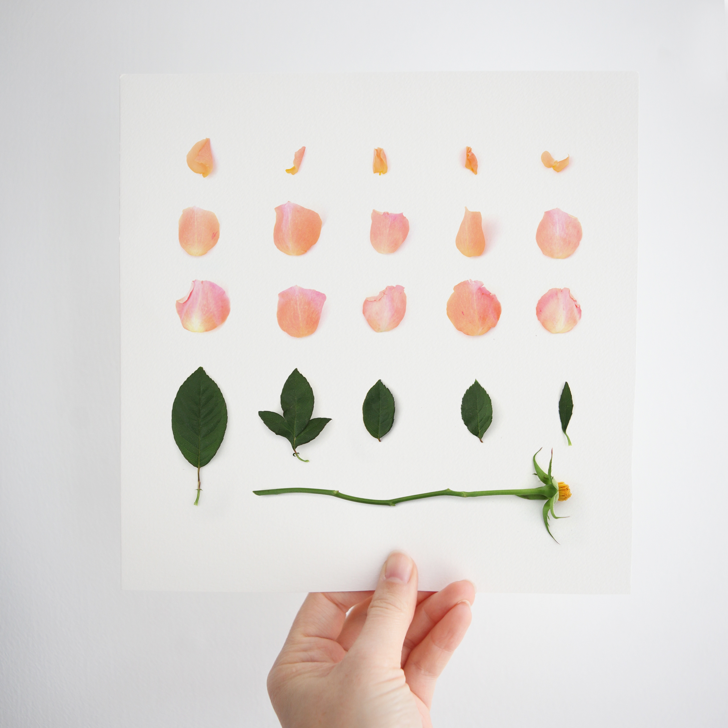 sarah blythe lily of the valley birthprint