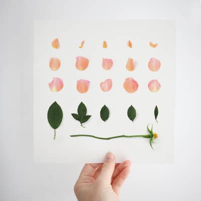 sarah blythe lily of the valley birthprint