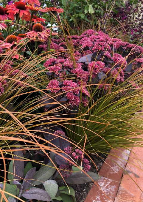 BBC Gardeners' World Live Beautiful Border