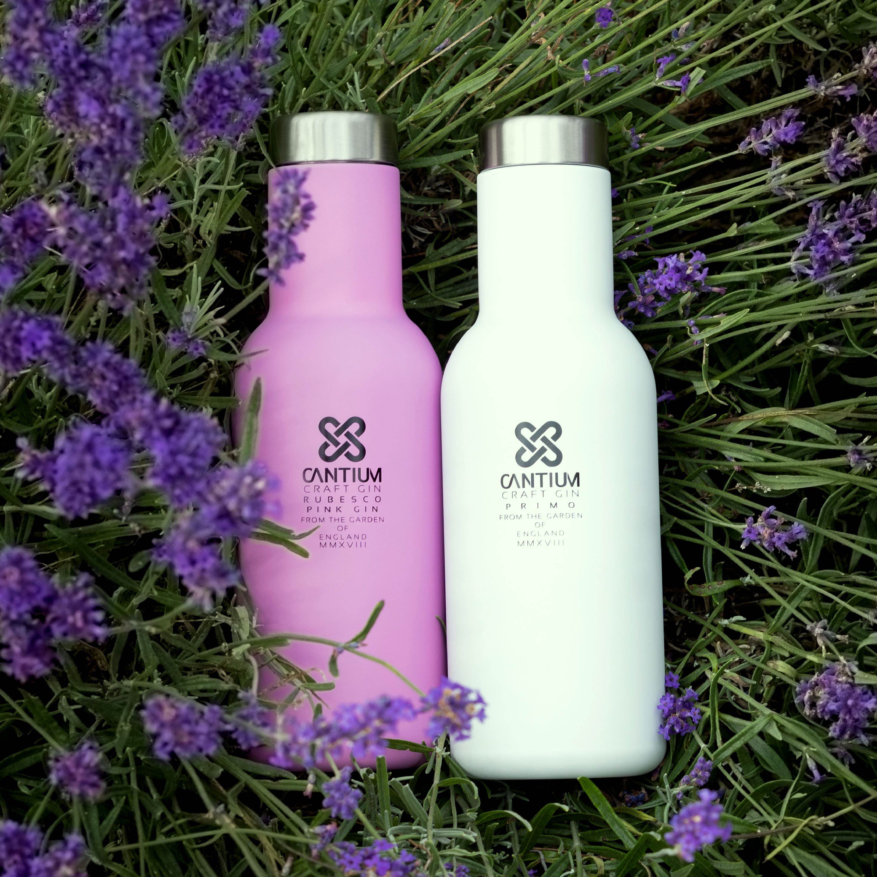 pink and dry sustainable gin