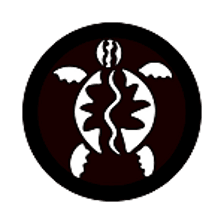 Turtle Bags logo