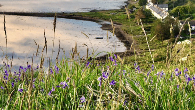 Our range of Slàinte Sauces