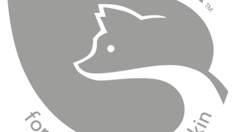 Balmy Fox - Main Logo