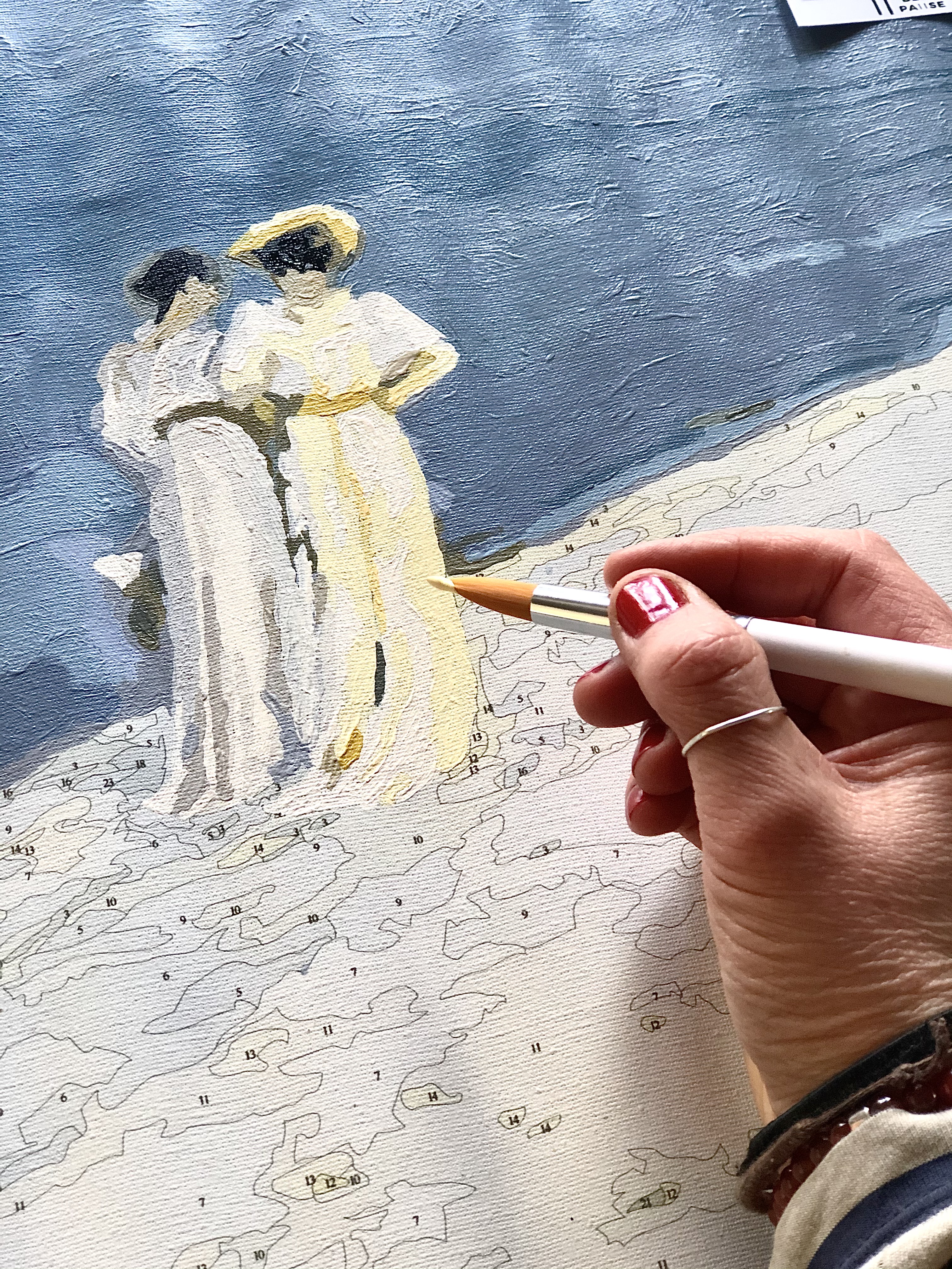 Paint by numbers for adults 