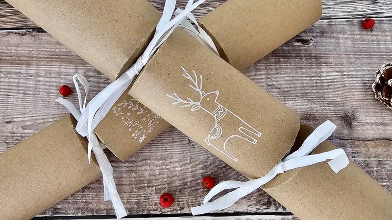 Child & Pet friendly "No nag crackers"