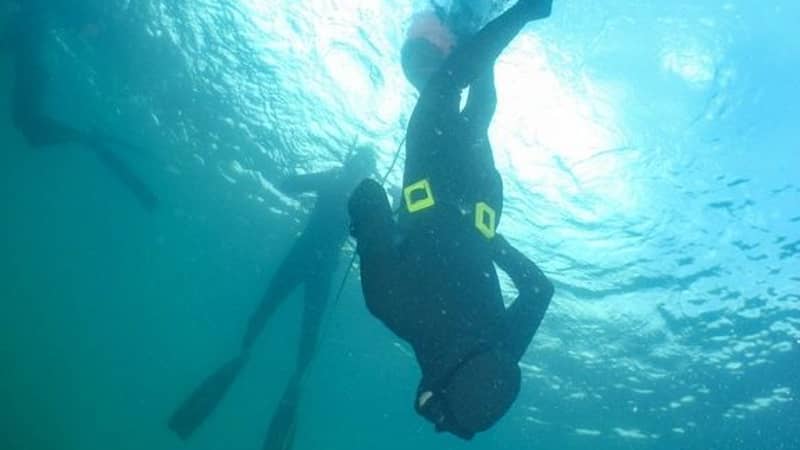 Learn to Freedive