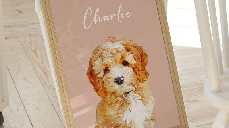 personalised pet portrait