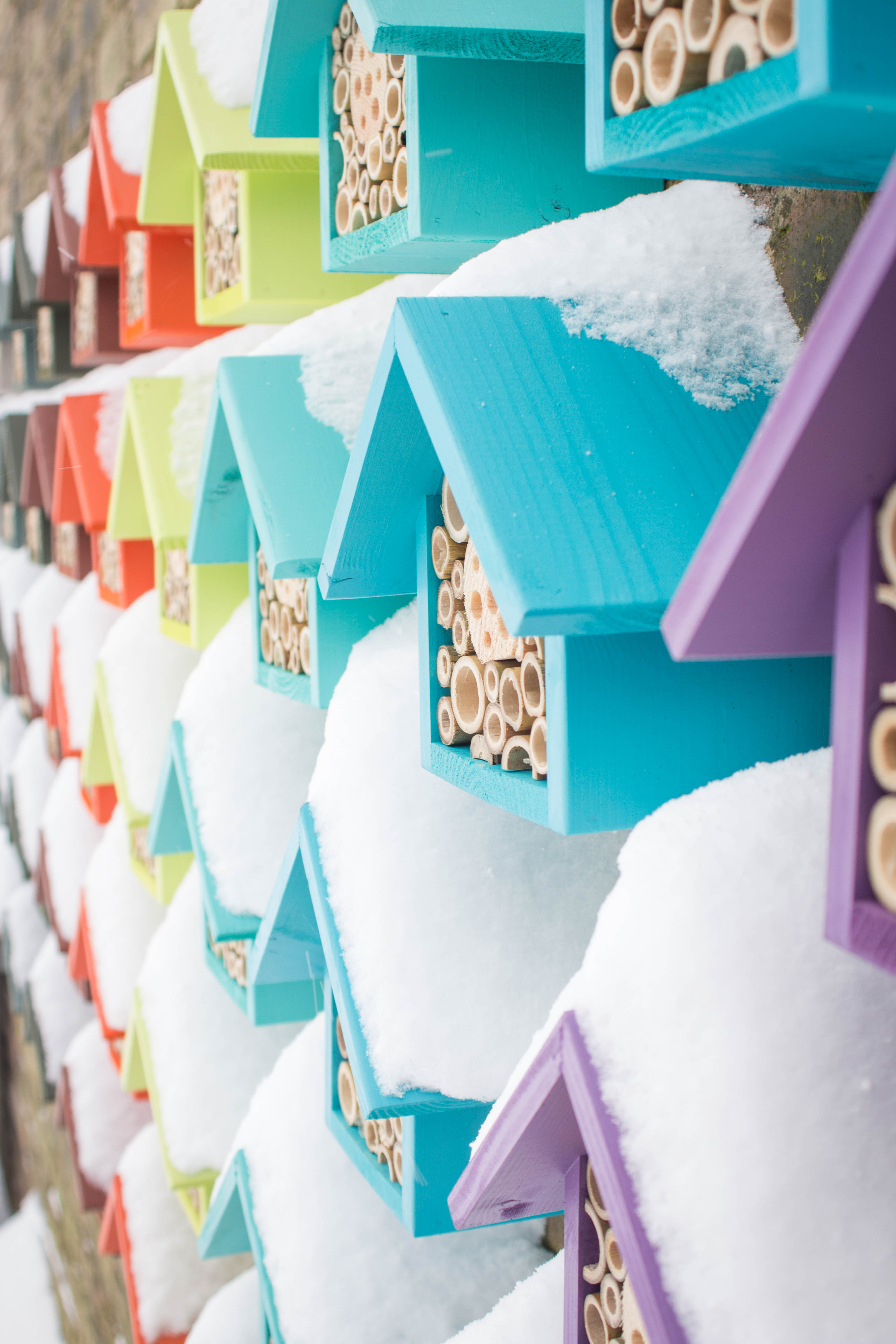 Bee Hotels and Insect Houses