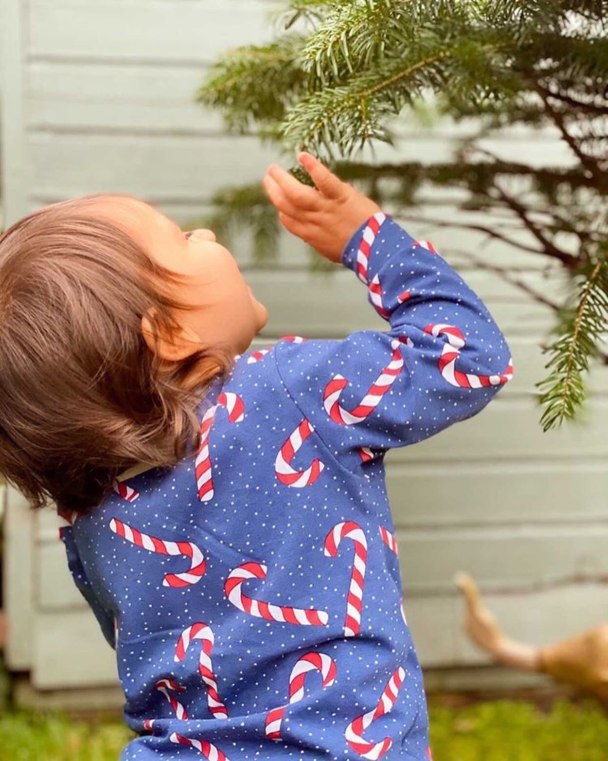  Blue Candy Canes Lightweight Sweater