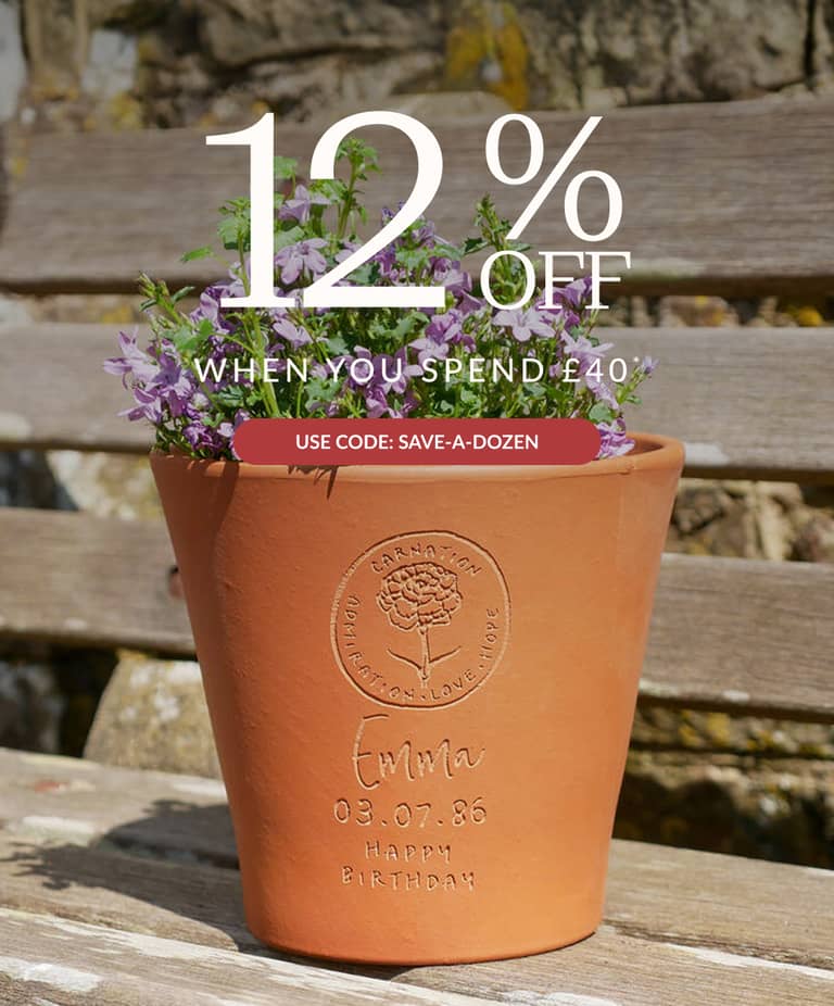 Get 12% off when