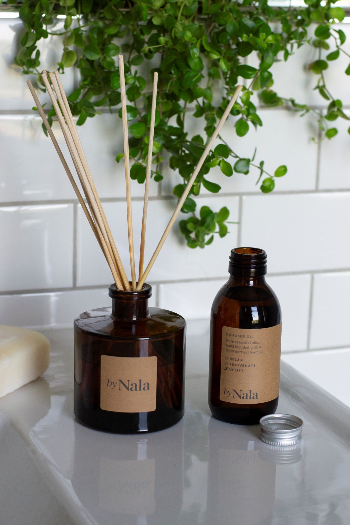 Essential oil reed diffuser