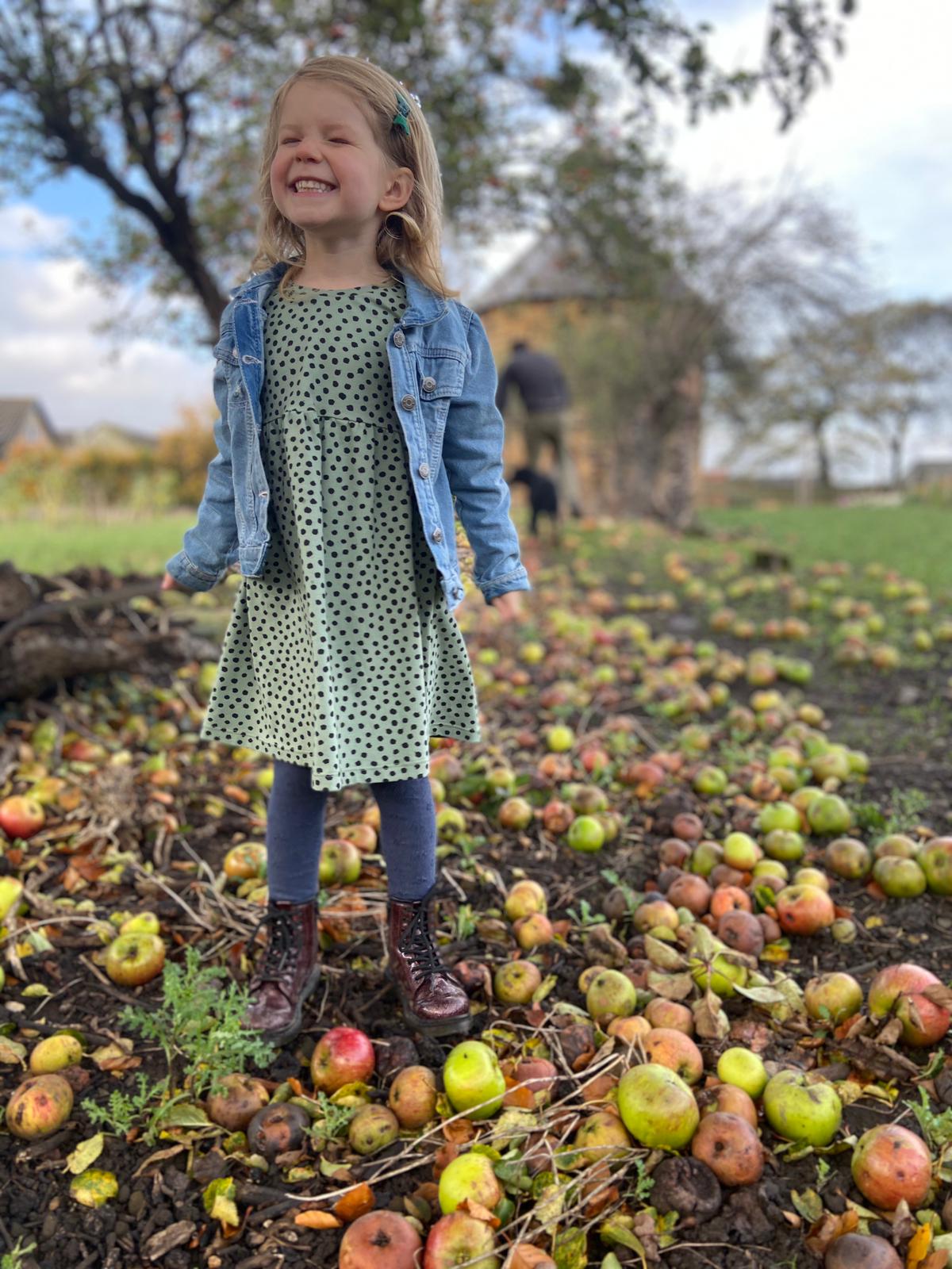 Sage Green Dotty Dress