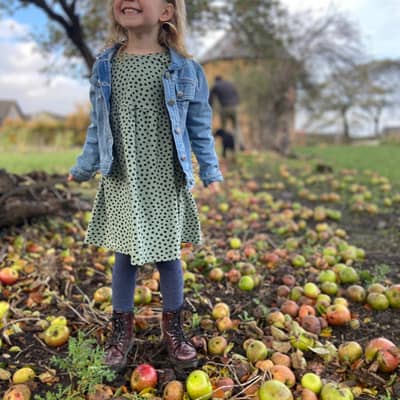 Sage Green Dotty Dress